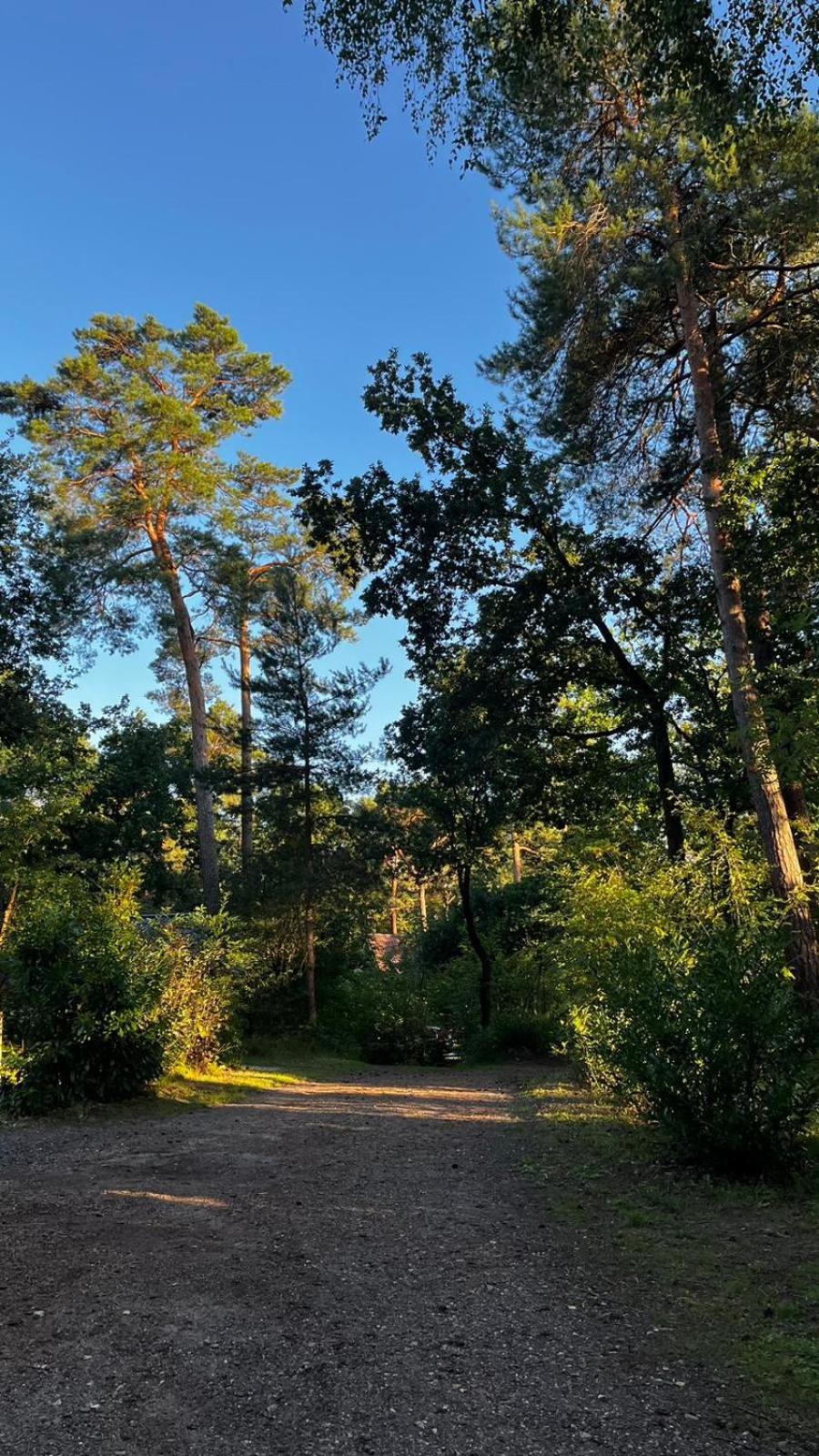 Vakantiehuis Vliegend Hert Veluwe Нунспет Екстериор снимка